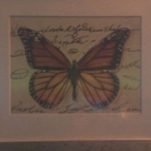 Antique butterfly picture comes with frame and glass